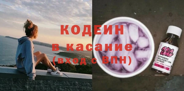 ECSTASY Гусь-Хрустальный