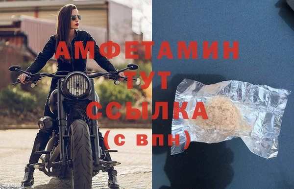спайс Гусев