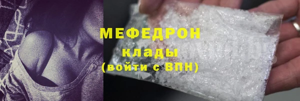 ECSTASY Гусь-Хрустальный