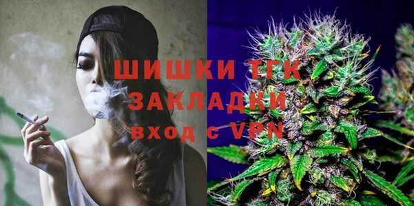 mix Гусиноозёрск