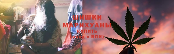 ECSTASY Гусь-Хрустальный
