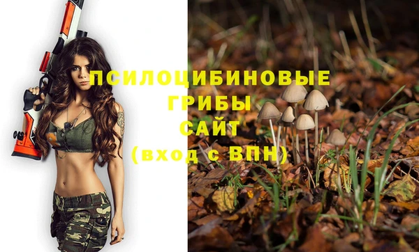 mix Гусиноозёрск
