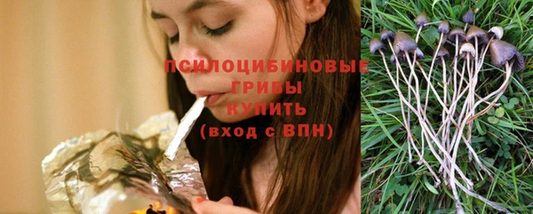 спайс Гусев