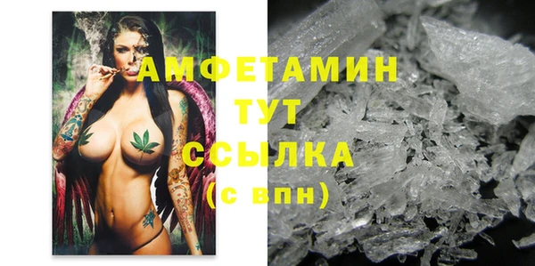 ECSTASY Гусь-Хрустальный