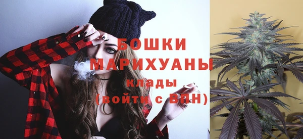 спайс Гусев