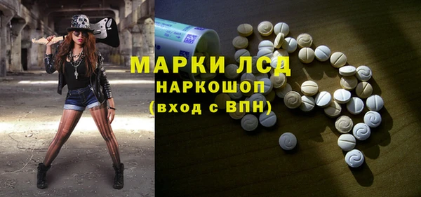 ECSTASY Гусь-Хрустальный