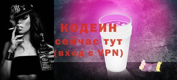 ECSTASY Гусь-Хрустальный