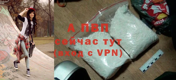 ECSTASY Гусь-Хрустальный
