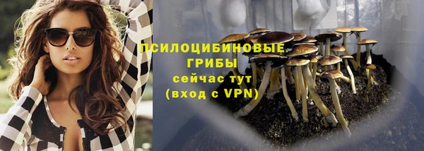спайс Гусев