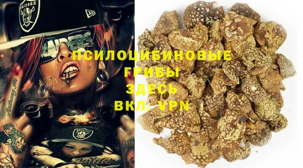 спайс Гусев