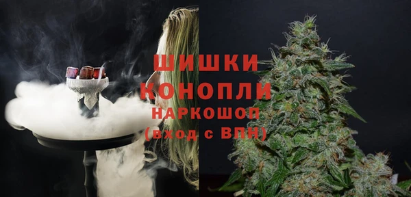 спайс Гусев